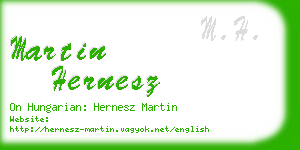martin hernesz business card